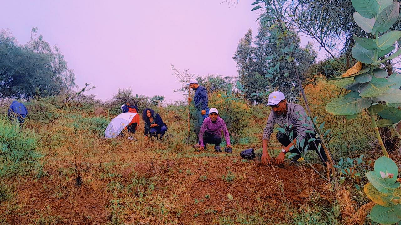 5.photo_2024-07-20_23-07-37
